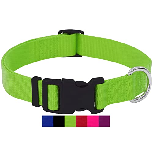 DEY - Premium Hundehalsband Nylon | Verstellbar | für Kleine u. Große Hunde | viele Farben u. Größen | Halsband Hund Katze Welpe | Hunde-Halsbänder | Katzen-Halsband | Welpen-Halsband | Grün, XS von DEY