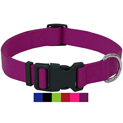 DEY - Premium Hundehalsband Nylon | Verstellbar | für Kleine u. Große Hunde | viele Farben u. Größen | Halsband Hund Katze Welpe | Hunde-Halsbänder | Katzen-Halsband | Welpen-Halsband | Lila, L von DEY