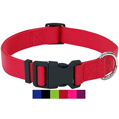 DEY - Premium Hundehalsband Nylon | Verstellbar | für Kleine u. Große Hunde | viele Farben u. Größen | Halsband Hund Katze Welpe | Hunde-Halsbänder | Katzen-Halsband | Welpen-Halsband | Rot, L von DEY