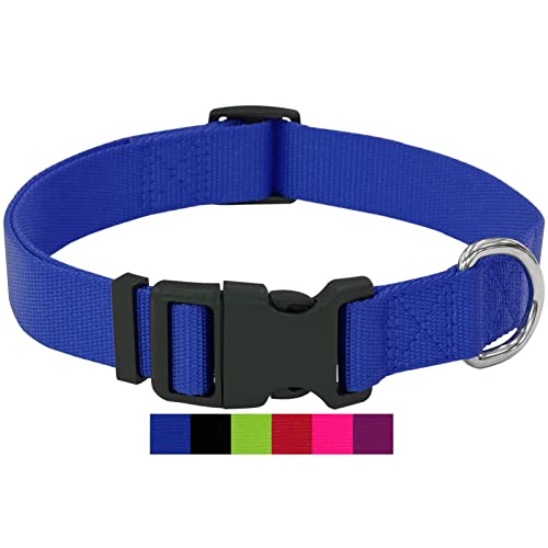 DEY - Premium Hundehalsband Nylon | Verstellbar | für Kleine u. Große Hunde | viele Farben u. Größen | Hund Katze Welpe | Hunde-Halsbänder | Katzen-Halsband | Welpen-Halsband | Blau, XS DEY - Premium Hundehalsband Nylon | Verstellbar | für Kleine u. Große Hunde | viele Farben u. Größen | Hund Katze Welpe | Hunde-Halsbänder | Katzen-Halsband | Welpen-Halsband | Blau, XS von DEY