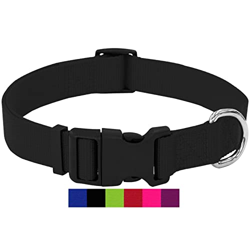 DEY - Premium Hundehalsband Nylon | Verstellbar | für Kleine u. Große Hunde | viele Farben u. Größen | Hund Katze Welpe | Hunde-Halsbänder | Katzen-Halsband | Welpen-Halsband | Schwarz, XS DEY - Premium Hundehalsband Nylon | Verstellbar | für Kleine u. Große Hunde | viele Farben u. Größen | Hund Katze Welpe | Hunde-Halsbänder | Katzen-Halsband | Welpen-Halsband | Schwarz, XS von DEY