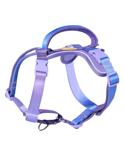 DF Freedom Martingale-Hundegeschirr, sanfte Kontrolle gegen Würgen, Frontclip-Geschirr mit reflektierendem, 5-Punkt-verstellbarem und Sicherheitsgriff, Regenbogen, 2,5 cm, Brustumfang 56,9 cm – 77,2 DF Freedom Martingale-Hundegeschirr, sanfte Kontrolle gegen Würgen, Frontclip-Geschirr mit reflektierendem, 5-Punkt-verstellbarem und Sicherheitsgriff, Regenbogen, 2,5 cm, Brustumfang 56,9 cm – 77,2 von DF