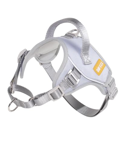 DF Martingale-Hundegeschirr, kein Ziehen, hilft bei jedem Schritt, ohne zu würgen, reflektierend und verstellbar, Front-Clip-Geschirr mit Kontrollgriff und taktischer Metallschnalle, Grau, 1,9 cm, DF Martingale-Hundegeschirr, kein Ziehen, hilft bei jedem Schritt, ohne zu würgen, reflektierend und verstellbar, Front-Clip-Geschirr mit Kontrollgriff und taktischer Metallschnalle, Grau, 1,9 cm, von DF