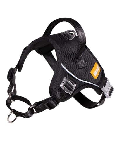 DF Martingale-Hundegeschirr, kein Ziehen, hilft jedem Schritt ohne Würgen, reflektierend und verstellbar, Front-Clip-Geschirr mit Kontrollgriff und taktischer Metallschnalle, Schwarz, 2,5 cm, DF Martingale-Hundegeschirr, kein Ziehen, hilft jedem Schritt ohne Würgen, reflektierend und verstellbar, Front-Clip-Geschirr mit Kontrollgriff und taktischer Metallschnalle, Schwarz, 2,5 cm, von DF