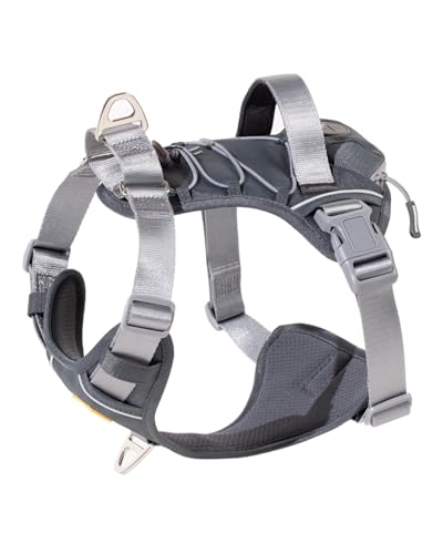 DF Martingale-Hundegeschirr, verhindert Ziehen und Würgen, reflektierend, verstellbare Passform, leicht zu kontrollieren, mit gepolstertem Griff und Reißverschlusstaschen, Grau, 2,5 cm, Brustumfang von DF