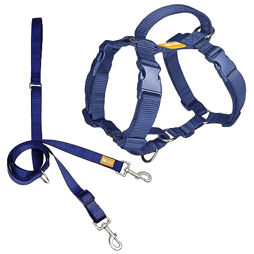 DF Martingale Hundegeschirr ohne Ziehen, Zwei-Punkt-Kontrolle, Trainingsleine für Spaziergänge mit dem Hund, funktioniert nur mit Martingale-Geschirre, Dunkelmarineblau, Brustumfang 83,8 cm - 108 cm von DF