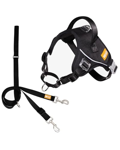 DF Martingale-Hundegeschirr und Leine, kein Ziehen, geräuschlose Metallschnalle, reflektierendes Geschirr mit Frontclip, verstellbare Passform und Griff für einfaches Gehen und Training, Schwarz, 2,5 DF Martingale-Hundegeschirr und Leine, kein Ziehen, geräuschlose Metallschnalle, reflektierendes Geschirr mit Frontclip, verstellbare Passform und Griff für einfaches Gehen und Training, Schwarz, 2,5 von DF