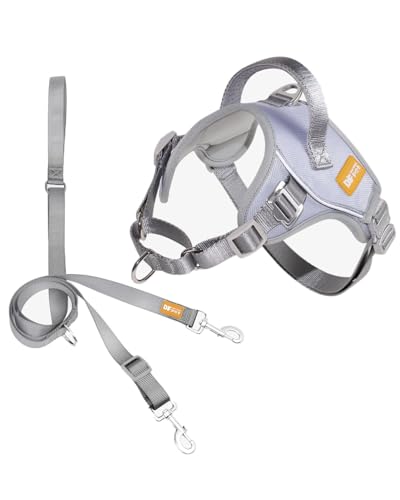 DF Martingale-Hundegeschirr und Leine, kein Ziehen, leise Metallschnalle, reflektierendes Geschirr mit Frontclip, verstellbare Passform und Griff für einfaches Gehen und Training, Grau, 1,9 cm von DF