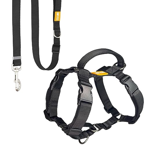 DF Martingale Hundegeschirr und Leine, verstellbar, für einfaches Spazierengehen, Schwarz, Größe L von DF