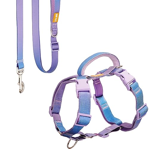 DF Martingale Hundegeschirr und verstellbare Leine, kein Ziehen, ausbruchsicher, vollständig anpassbare Passform, mit Frontclip und weich gepolstertem Griff, Regenbogen, Brustumfang 71,1 - 84,8 cm von DF