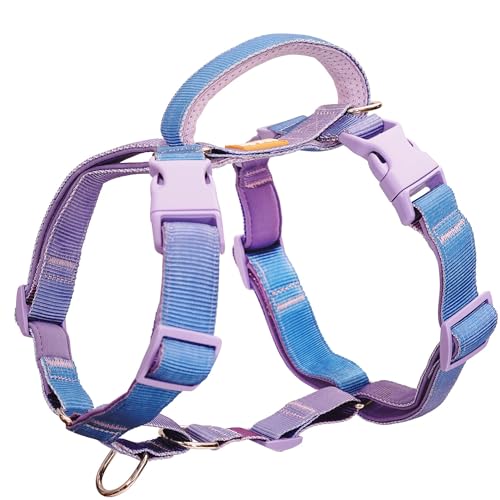 DF No Pull Martingale Geschirr für Hund, Nylon Verstellbarer Frontclip Geschirr Klassisch ausbruchsicher Welpengeschirr mit Griff für kleine, mittelgroße und große Hunde Training Walking, Regenbogen, von DF