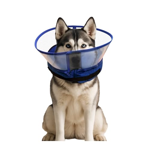 Verstellbares, aufblasbares Hundehalsband mit weich gepolsterten Klettverschlüssen, entworfen für Hunde nach Operationen, um Lecken zu verhindern, mit einem Anti-Leck-Schutz für Haustiere (Blau/M +) Verstellbares, aufblasbares Hundehalsband mit weich gepolsterten Klettverschlüssen, entworfen für Hunde nach Operationen, um Lecken zu verhindern, mit einem Anti-Leck-Schutz für Haustiere (Blau/M +) von DFQ