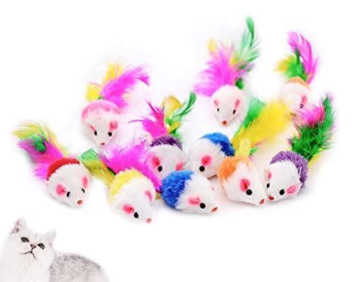 DFsucces Katzenminze-Mäuse-Spielzeug, weiche Maus, Katzenspielzeug, Mäuse, Rassel-Set, verschiedene interaktive Katzenspielzeug, mit Federschwanz für Katzen, Kätzchen, verschiedene Farben, 17 Stück DFsucces Katzenminze-Mäuse-Spielzeug, weiche Maus, Katzenspielzeug, Mäuse, Rassel-Set, verschiedene interaktive Katzenspielzeug, mit Federschwanz für Katzen, Kätzchen, verschiedene Farben, 17 Stück von DFsucces