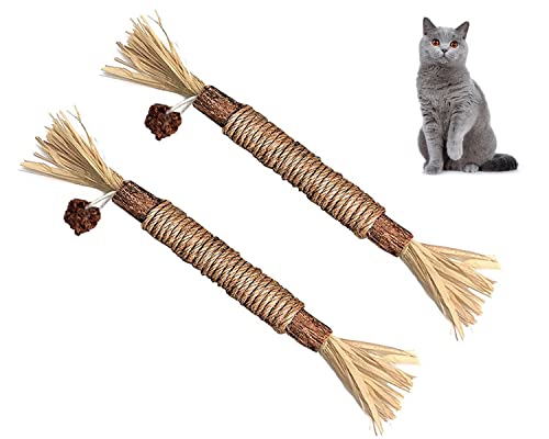 DFsucces Natürliche Matatabi Silvervine Kaustäbchen, 2 Stück Silvervine Kaustäbchen, Katzenspielzeug, natürliche Katzenzähne, Zahnreinigung, Kauspielzeug für Katzen (1) von DFsucces