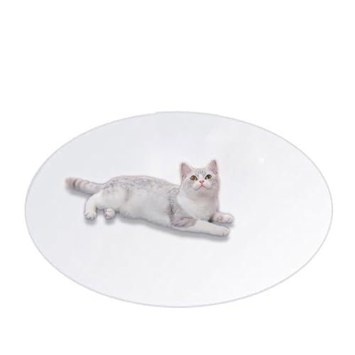 Bodenschutz für Haustiere, transparenter PVC-Katzenteppich, Kratzmatte, rund, wiederverwendbar, Welpenunterlagen, wasserdichte Haustier-Spielunterlage für Hunde und Katzen (Durchmesser 50 cm, von DG Catiee