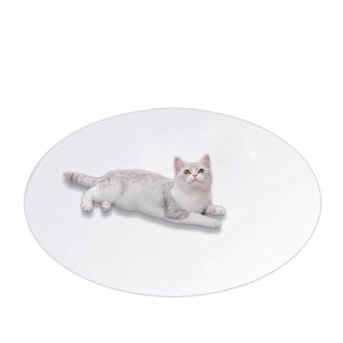 Bodenschutz für Haustiere, transparenter PVC-Katzenteppich, Kratzmatte, rund, wiederverwendbar, Welpenunterlagen, wasserdichte Haustier-Spielunterlagen für Hunde und Katzen (Durchmesser 70 cm, Bodenschutz für Haustiere, transparenter PVC-Katzenteppich, Kratzmatte, rund, wiederverwendbar, Welpenunterlagen, wasserdichte Haustier-Spielunterlagen für Hunde und Katzen (Durchmesser 70 cm, von DG Catiee