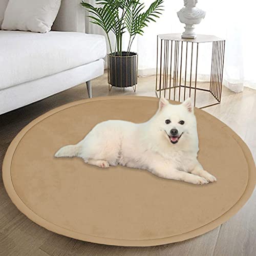 DG Catiee Extra große Hundebettmatte, runde Korallen-Samt-Hunde-Isomatte, rutschfeste, weiche Hundeboxenmatte für kleine, mittelgroße und große Hunde und Katzen (rund, 140 cm, beige) von DG Catiee