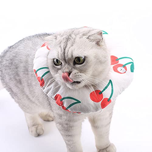 DG Catiee Genesungshalsband für Katzen, verstellbar, weich, Halsband, nach Operationen, Anti-Leck-Wundheilungsschutz (13-22 cm, H) von DG Catiee