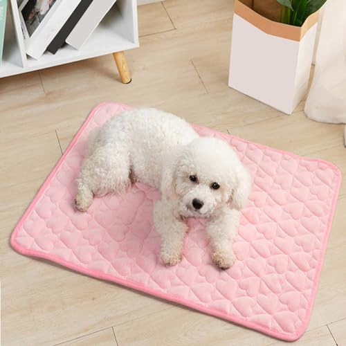 DG Catiee Haustiermatte, Hundenest, Bodenmatte, rutschfeste Katzen-Schlafmatte, warmes Winter-Haustierbett, strapazierfähige Plüsch-Haustierbetten für Haustiernest, Hund, Katze (110 x 160 cm, Rosa) DG Catiee Haustiermatte, Hundenest, Bodenmatte, rutschfeste Katzen-Schlafmatte, warmes Winter-Haustierbett, strapazierfähige Plüsch-Haustierbetten für Haustiernest, Hund, Katze (110 x 160 cm, Rosa) von DG Catiee