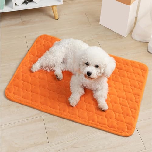 DG Catiee Haustiermatte, Hundenest, Bodenmatte, rutschfeste Katzen-Schlafmatte, warmes Winter-Haustierbett, strapazierfähige Plüsch-Haustierbetten für Haustiernest, Hund, Katze (90 x 90 cm, Orange) DG Catiee Haustiermatte, Hundenest, Bodenmatte, rutschfeste Katzen-Schlafmatte, warmes Winter-Haustierbett, strapazierfähige Plüsch-Haustierbetten für Haustiernest, Hund, Katze (90 x 90 cm, Orange) von DG Catiee