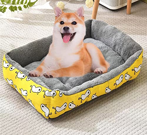DG Catiee Weiches Hundebett, mittlere rechteckige Hundebett-Matratze, Nackenrolle, Haustierbett, Kissen, rutschfest, waschbar, beruhigendes Katzenschlafbett (2XL 80 x 60 cm, Muster-B) von DG Catiee