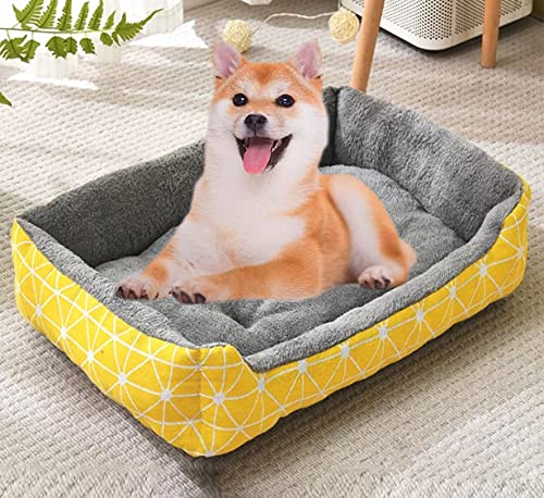 DG Catiee Weiches Hundebett, mittlere rechteckige Hundebett-Matratze, Nackenrolle, Haustierbett, Kissen, rutschfest, waschbar, beruhigendes Katzenschlafbett (L 60 x 45 cm, Muster-E) von DG Catiee