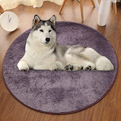 Extra große, runde Hundematte, ultraweiche, kurze Plüsch-Hundebett-Matratze, Hunde-Kühlkissen, rutschfest, Kunstfell-Teppich, Bodenschutz (130 cm, Lila-Grau) von DG Catiee