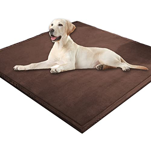 Extra große Hundematratze, weicher Korallen-Samt, Haustiermatte, Anti-Angst, XXL-Hundekissen, Katzen-Schlafmatte für kleine, mittelgroße und große Hunde (100 x 100 cm, braun) von DG Catiee