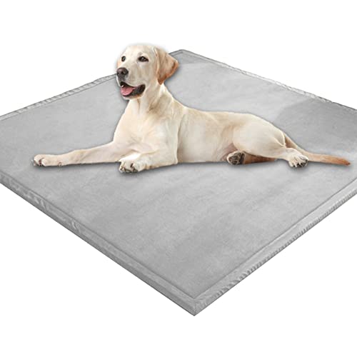 Extra große Hundematratze, weicher Korallen-Samt, Haustiermatte, Anti-Angst, XXL-Hundekissen, Katzen-Schlafmatte für kleine, mittelgroße und große Hunde (100 x 150 cm, grau) von DG Catiee