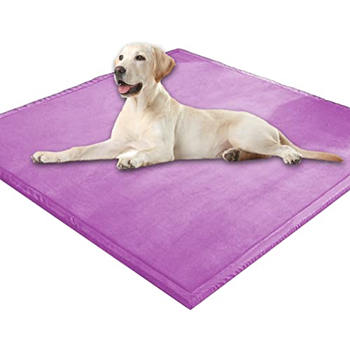 Extra große Hundematratze, weicher Korallen-Samt, Haustiermatte, Anti-Angst, XXL-Hundekissen, Katzen-Schlafmatte für kleine, mittelgroße und große Hunde (100 x 150 cm, lila) von DG Catiee