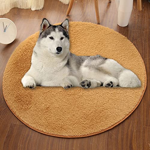Extra große runde Hundematte, ultraweiche, kurze Plüsch-Hundebett-Matratze, Hunde-Kühlkissen, rutschfest, Kunstfell-Teppich, Bodenschutz (120 cm, Khaki) von DG Catiee