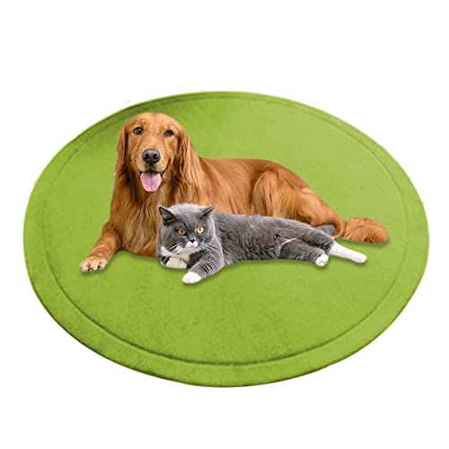 Große runde Hundematte, Korallen-Samt, weiche Haustiermatte, beruhigendes Hundekissen, rutschfest, Hundeunterlage, Matratze, Teppich, Hundeteppich, waschbar (170 cm, grün) von DG Catiee