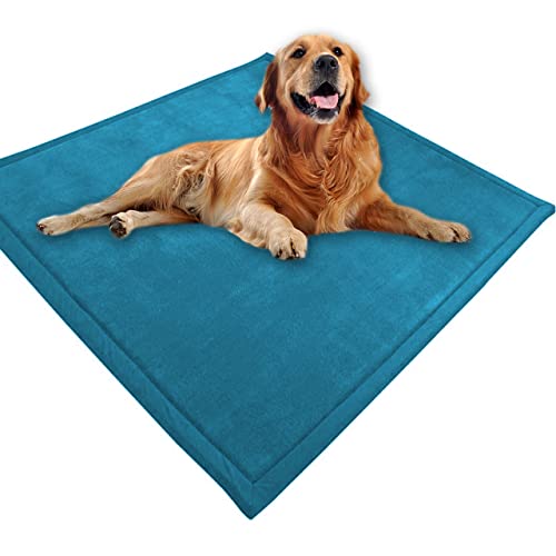Großes Hundebett, Haustiermatte, weicher warmer Korallensamt, rutschfester Teppich, beruhigend, für den Innenbereich, waschbar, Hundekissen, Bodenmatte (100 x 60 cm, blau) von DG Catiee
