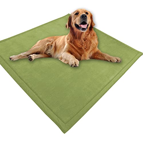 Großes Hundebett, Haustiermatte, weicher warmer Korallensamt, rutschfester Teppich, beruhigend, für den Innenbereich, waschbar, Hundekissen, Bodenmatte (50 x 40 cm, grün) von DG Catiee