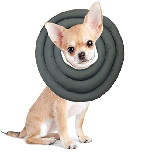 Haustier-Schutzhalsband, verstellbar, für Genesung, weiches Donut-Halsband für Katzen, Kätzchen, Welpen, Hunde (45 cm - 1 Stück, grün) von DG Catiee