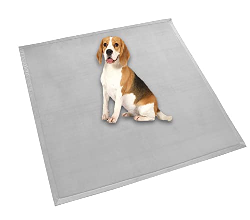 Hundebett-Matratze, extra große Hundeunterlage, weiches Fleece, bequeme Haustiermatte, beruhigend, für Hunde und Katzen, rutschfest, waschbar, Hundekissen (100 x 100 cm, grau) von DG Catiee