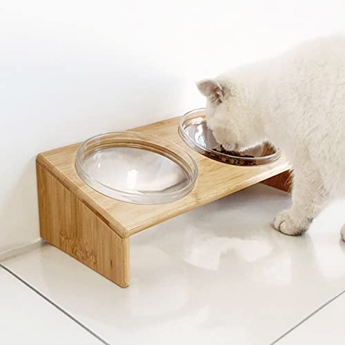Transparente PVC-Haustier-Futternapf-Matte für Hunde, Katzen, wasserdicht, abwischbar, Bodenschutzmatte für Katzen, Hunde fressen (1 Stück, 30 x 40 cm) von DG Catiee