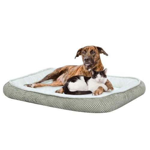 DGBAOBEI Kühlmatte für Haustiere, Sommer-Hundebett, Eisseide, Katzenbett zum Schlafen, hellgrünes Schaumstoff-Haustiersofa (XL (86 x 65 cm) von DGBAOBEI