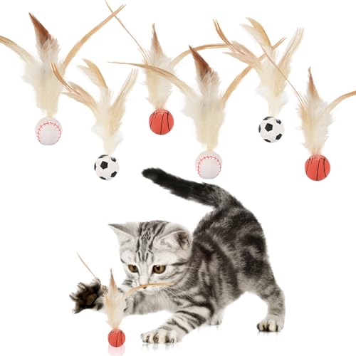 DGMI 6 Stück Hüpfender Katzenball mit Feder, Interaktiver Spielball für Katzen, Spielen für Drinnen und Draußen, Interaktives Katzenspielzeug für Kätzchen DGMI 6 Stück Hüpfender Katzenball mit Feder, Interaktiver Spielball für Katzen, Spielen für Drinnen und Draußen, Interaktives Katzenspielzeug für Kätzchen von DGMI