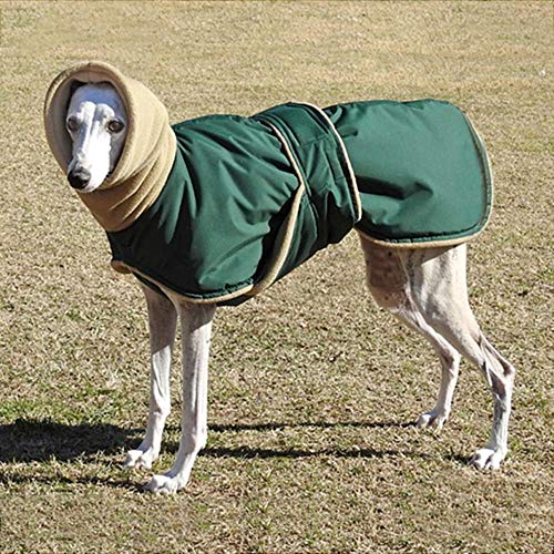 DGPOAD Super warme Dicke Hundekleidung wasserdichte Hundemanteljacke für mittelgroße Hunde Windhund Wolfshund, grün, 4XL von DGPOAD