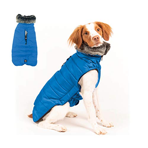 DGS Hemlock Kleid für Hunde, Blau von Dog Gone Smart