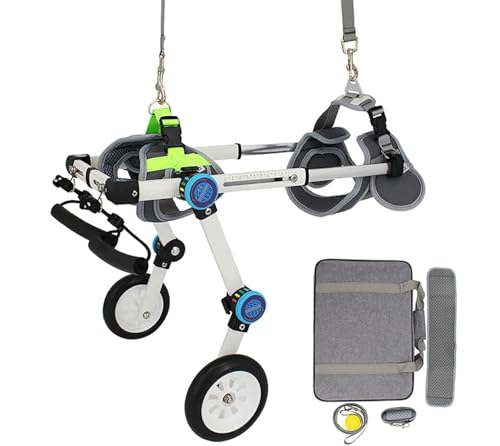 DGSYUAN Rollstuhl Für Hunde Haustier-Rollstuhl Aus Aluminiumlegierung, 2 Räder, Einstellbare Größe, Hunderollstuhl, Mobiles Hundeauto Hunderollstuhl(M) von DGSYUAN