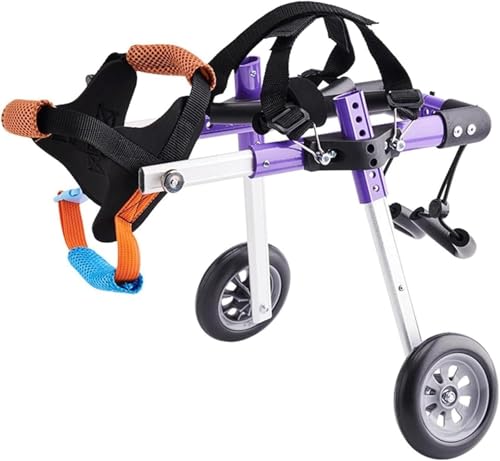 DGSYUAN Rollstuhl Für Hunde Haustier-Rollstuhl Mit 2 Rädern, Verstellbar, Für Hunde, Rehabilitation Der Hinterbeine, Gehhilfe, Hundewagen Hunderollstuhl(S) von DGSYUAN