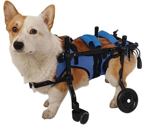 DGSYUAN Rollstuhl Für Hunde Leichter Haustier-Rollstuhl, Verstellbarer Hundewagen Aus Aluminium, Hunderollstuhl, Tragbarer Rollstuhl Für Die Hinterbeine Von Hunden Hunderollstuhl(XS) von DGSYUAN
