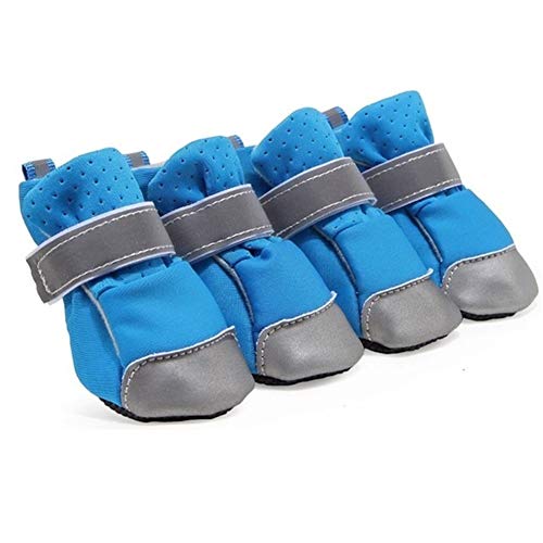 DHDHWL Hundeschuhe für Welpen, weiche Schuhe, blau, reflektierend, weiche Sohle, #HJ (Farbe: L, Größe: M) von DHDHWL