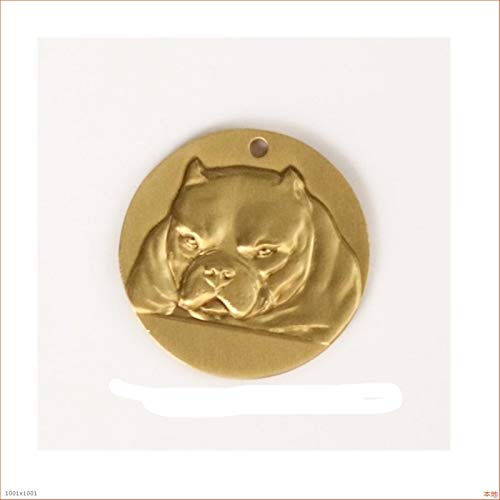 DHDHWL hundemarke 1pcs Hundemarke Reines Kupfer Großes Engraving Hunde Tags Hundehalsband Zubehör personalisiert (Color : Bully, Size : 1 Piece) von DHDHWL