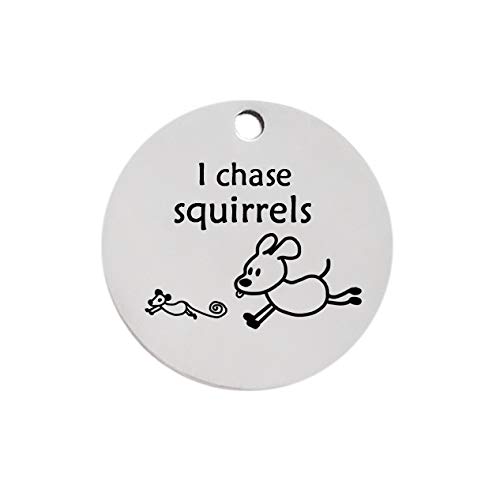 DHDHWL hundemarke 1pcs Personalisierte Muster Small Pet Hundemarke Metall Edelstahl runden Gravierte Tags for große Hunde personalisiert (Color : E i Chase Squirrels, Size : XS) von DHDHWL