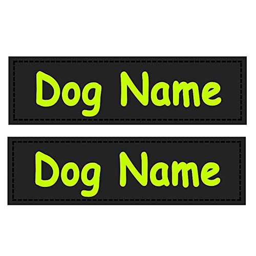 DHDHWL hundemarke Dog ID Tag Custom Personalisierte Etiketten Name Logo Etiketten reflektierende leuchtende DIY Aufkleber für Hundegeschirr Etiketten Haustiere liefert personalisiert von DHDHWL