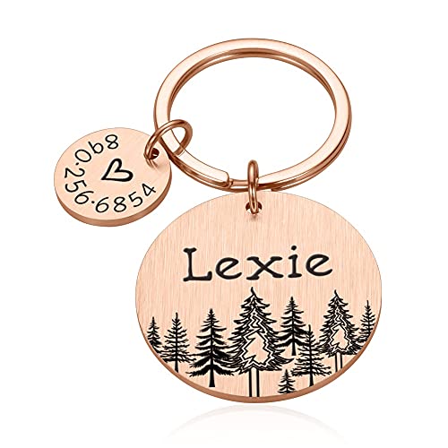 DHDHWL hundemarke Personalisierte Hundeausweis-Tags-Geschenk für Hunde-Herz-Anti-Lost-Haustierkragen-Tags für Hundebesitzer PET-Tag-Welpen-Tag personalisiert (Color : Rose Gold) von DHDHWL