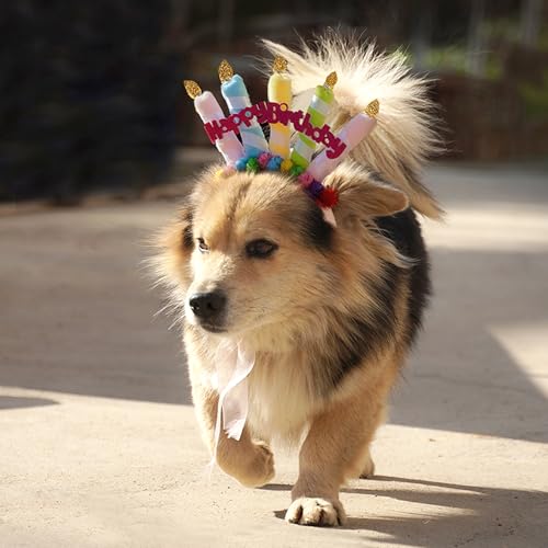 DHER Haustier Geburtstagsset Mit Pailletten Hut Geburtstag Hut Pet Party Dekorationsset Hund Geburtstagshut Fliege Katze Hund Geburtstag Pailletten DekorationszubehöR Festliche Party (Haarband) von DHER